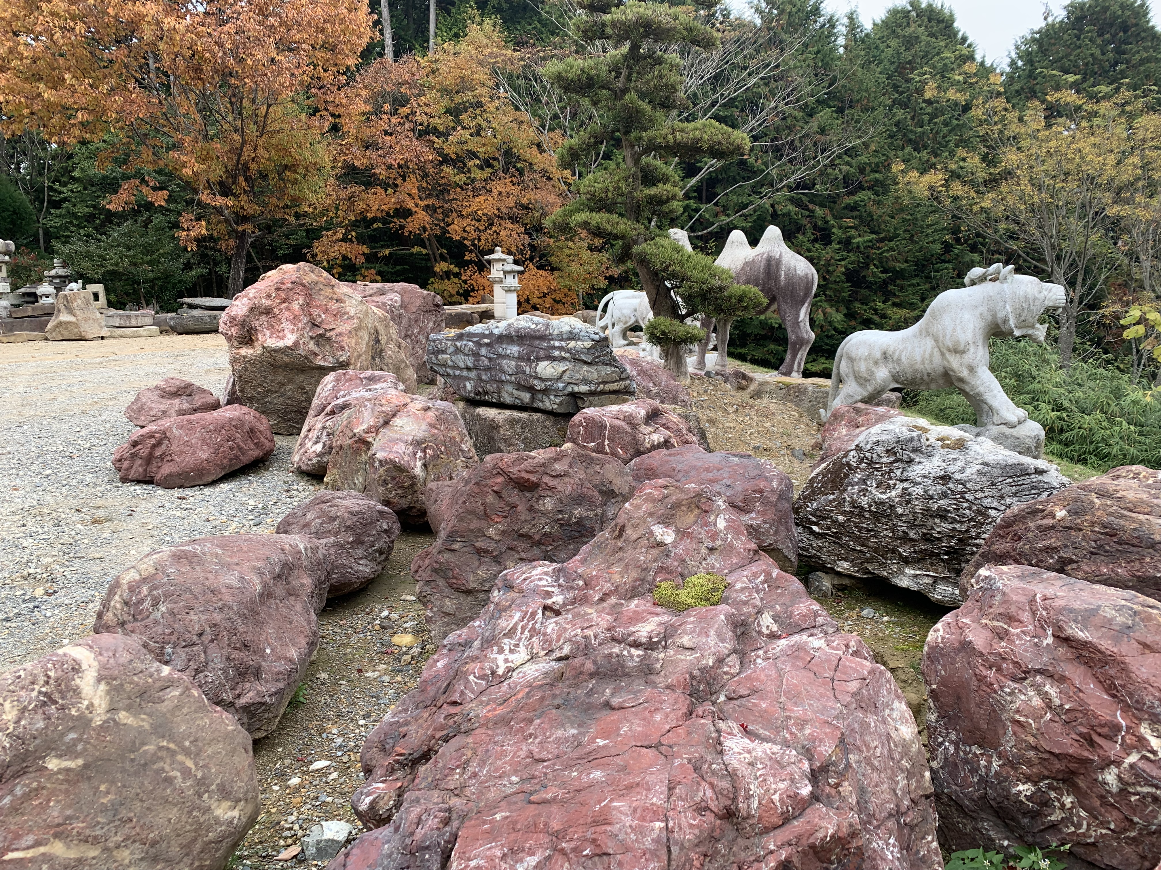 紅加茂石　二段石　肉石 749843da11951ec6b64250dcfc8494